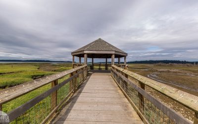 Meditation on Psalm 91