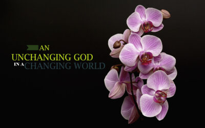 THE UNCHANGING GOD